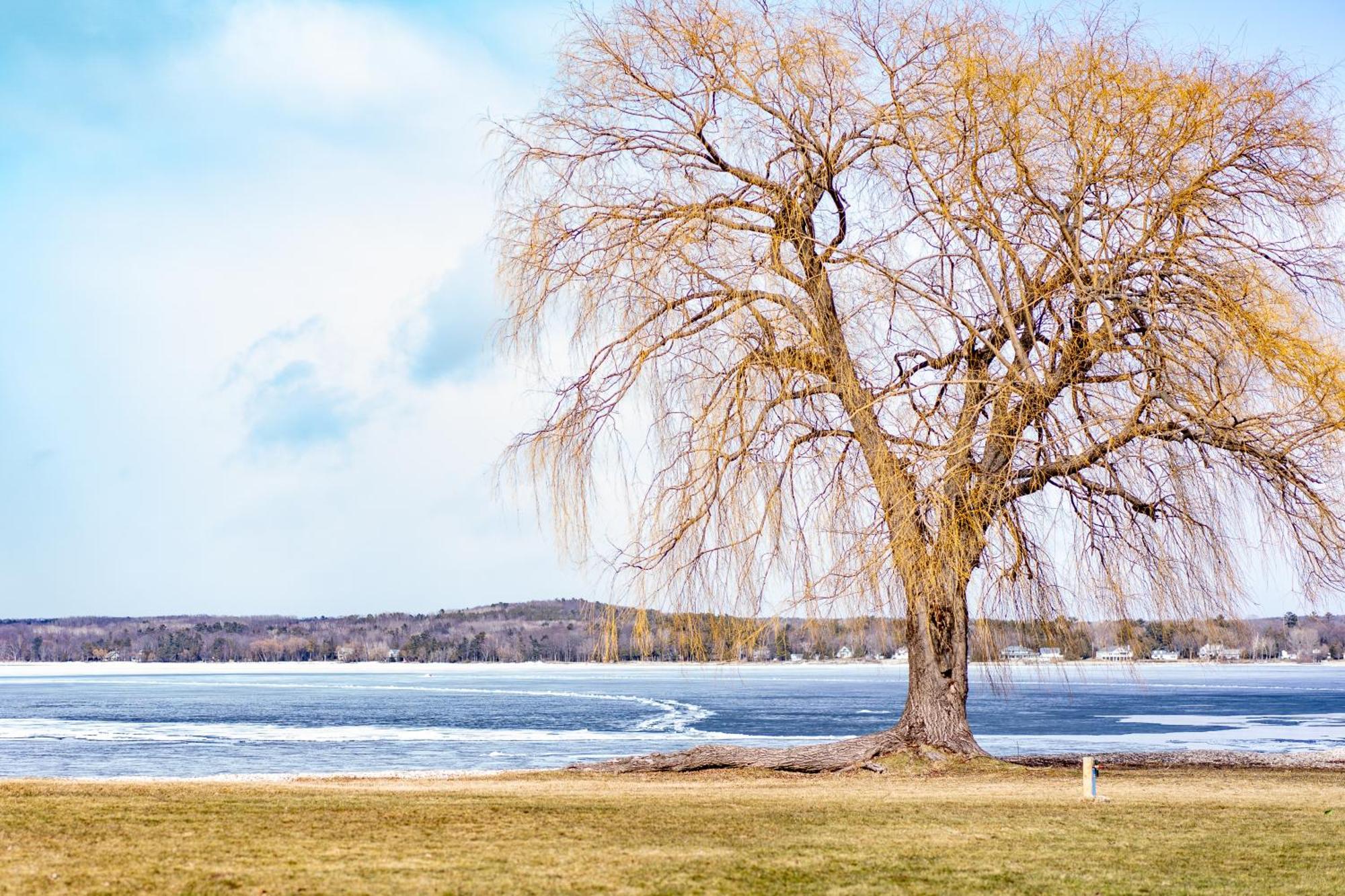 Beach Harbor Resort Sturgeon Bay Exterior foto